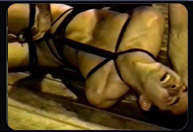 bdsm